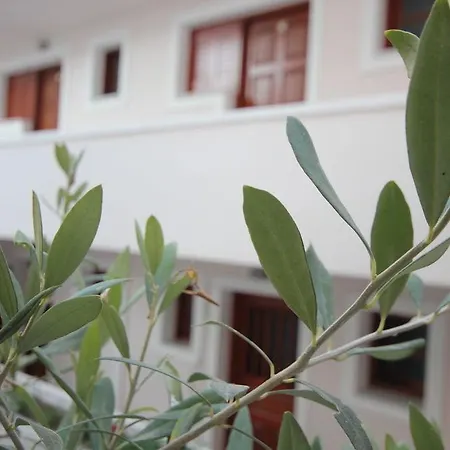 Zacharakis Lejlighedshotel